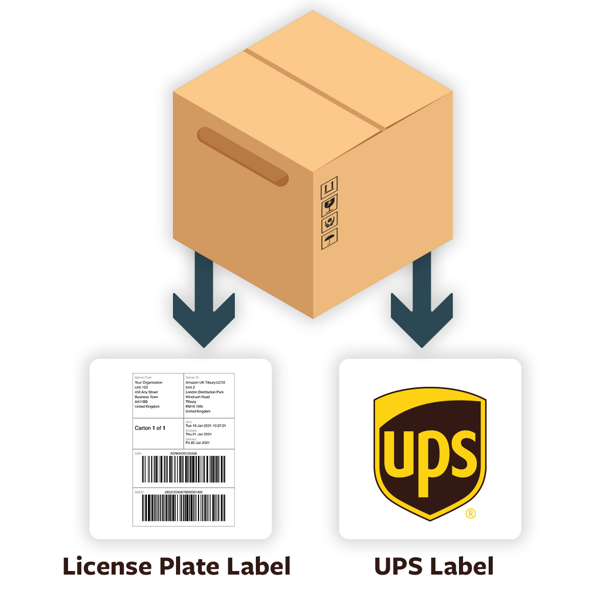 carton box showing arrows to both License Plate label and UPS delivery label